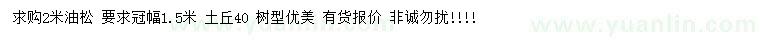 求購2米油松