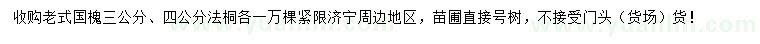 求購3公分老式國槐、4公分法桐