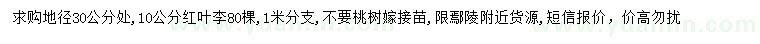 求購(gòu)30公分量10公分紅葉李
