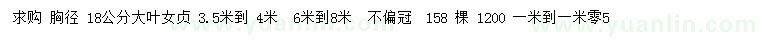 求購胸徑18公分大葉女貞