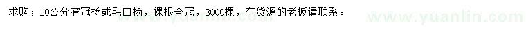 求購10公分窄冠楊或毛白楊