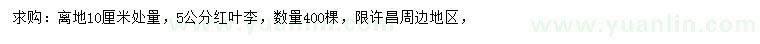 求購10公分量5公分紅葉李