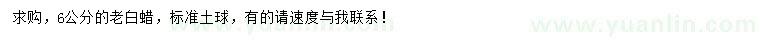 求購(gòu)6公分老白蠟