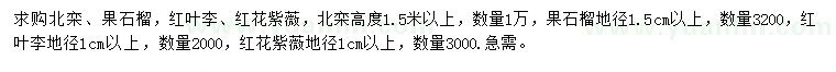 求購北欒、果石榴、紅葉李等