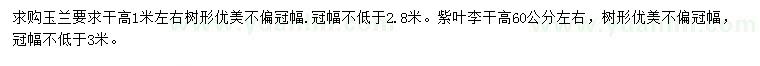 求購(gòu)高1米玉蘭、60公分紫葉李