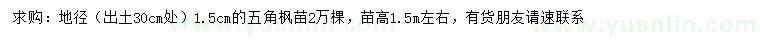 求購地徑1.5公分五角楓