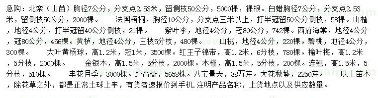 求購北欒、白蠟、法國梧桐等