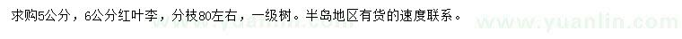 求購(gòu)5、6公分紅葉李