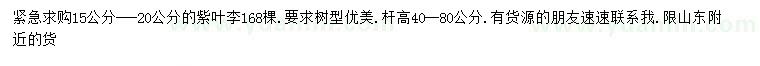 求購15-20公分紫葉李