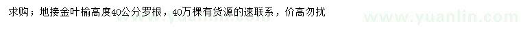求購高度40公分金葉榆