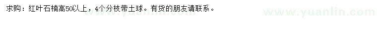 求購高50公分以上紅葉石楠