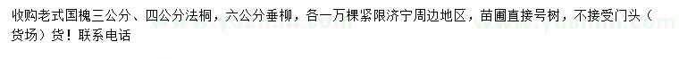 求購(gòu)老式國(guó)槐、法桐、垂柳