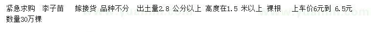 求購2.8公分以上李子苗
