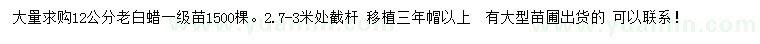 求購12公分老白蠟