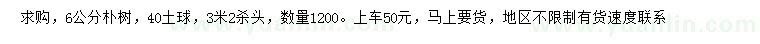 求購6公分樸樹(shù)