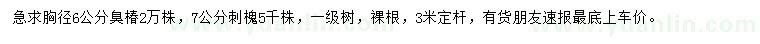 求購胸徑6公分臭椿、7公分刺槐