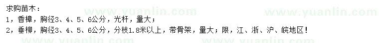 求購胸徑3、4、5、6公分香樟、垂柳
