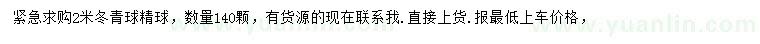 求購2米冬青球