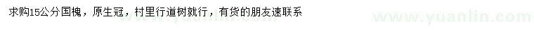求購15公分國槐