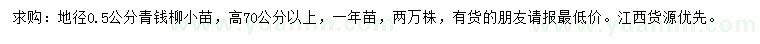 求購地徑0.5公分青錢柳小苗