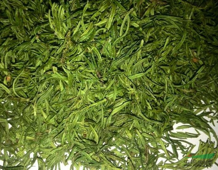 優(yōu)質(zhì)紅豆杉芽綠茶銷售