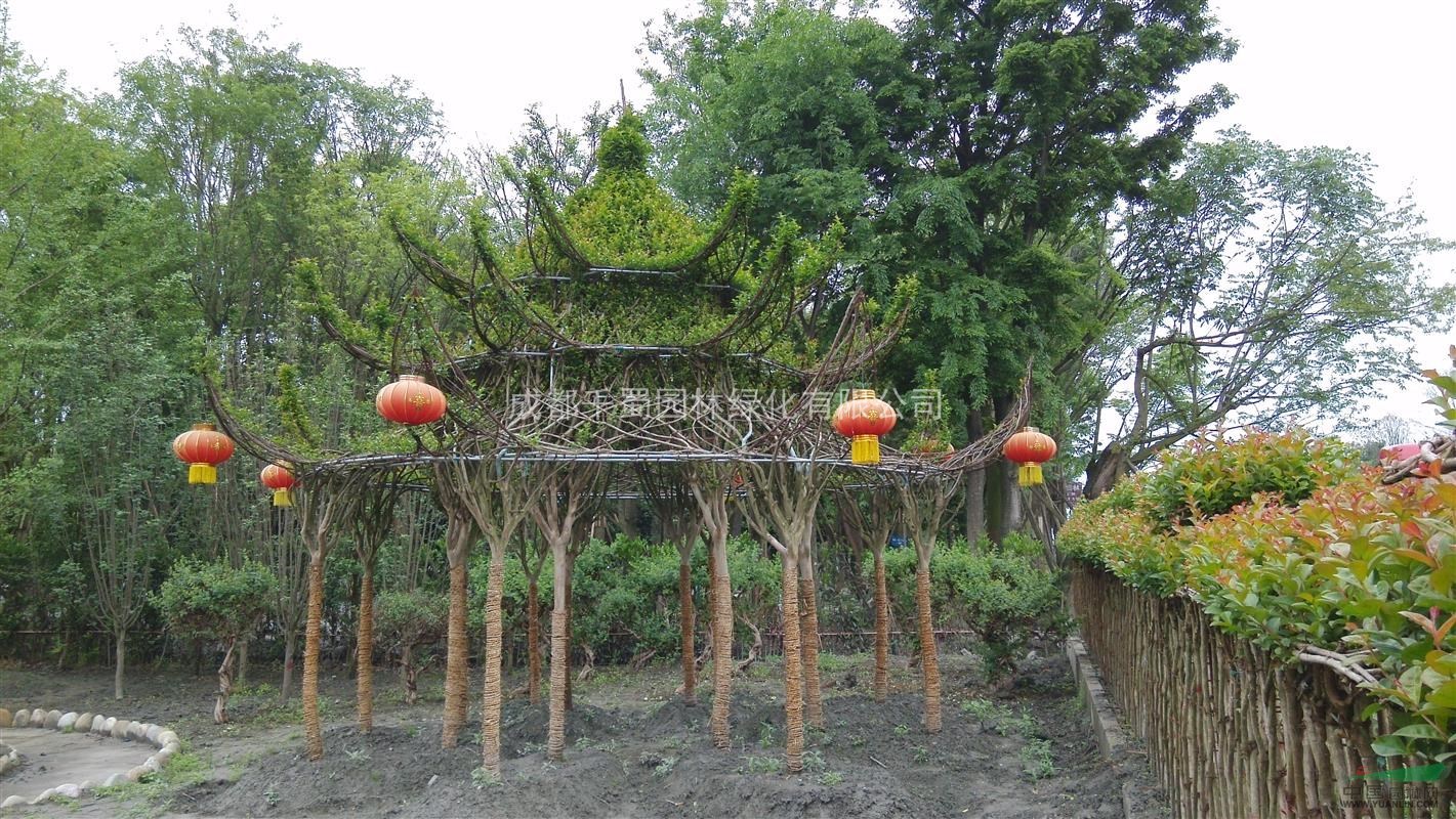 紫薇造型古典風(fēng) 紫薇六角亭、花瓶、塔樓 百日紅編織