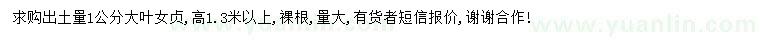 求購1公分大葉女貞