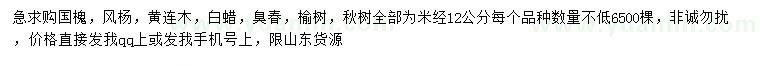 求購國槐、風楊、黃連木等