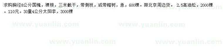 求購國槐、油松、太陽李