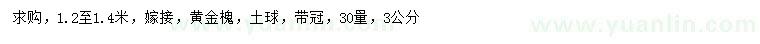 求購1.2-1.4米嫁接黃金槐