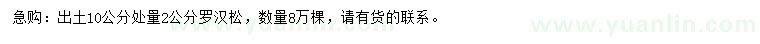 求購出土10公分量2公分羅漢松