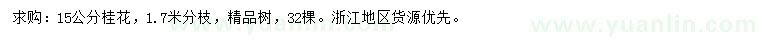 求購15公分精品桂花