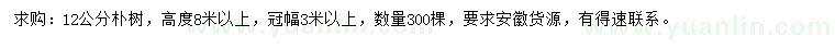 求購12公分樸樹