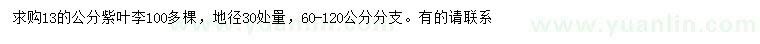 求購(gòu)地徑30處量13公分紫葉李