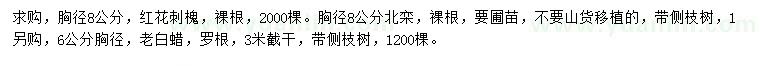 求購(gòu)紅花刺槐、北欒、老白蠟