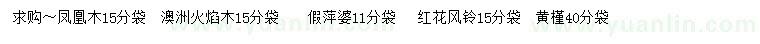 求購鳳凰木、澳洲火焰木、假萍婆等