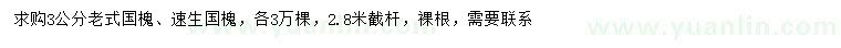 求購3公分老式國槐、速生國槐