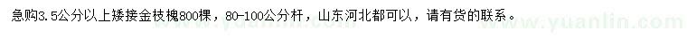 求購3.5公分以上矮接金枝槐
