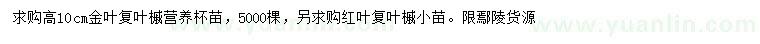 求購(gòu)高10公分金葉復(fù)葉槭、紅葉復(fù)葉槭