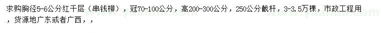 求購胸徑5-6公分紅千層、串錢柳