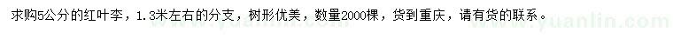 求購(gòu)5公分紅葉李