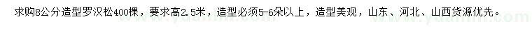 求購8公分造型羅漢松