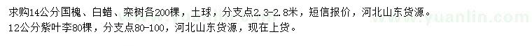 求購(gòu)國(guó)槐、白蠟、欒樹(shù)等