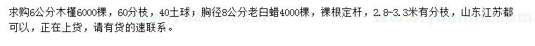 求購6公分木槿、胸徑8公分老白蠟