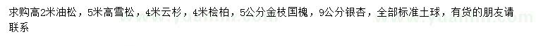 求購油松、雪松、云杉等