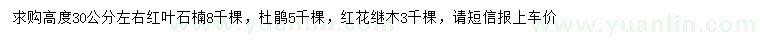 求購紅葉石楠、杜鵑、紅花繼木