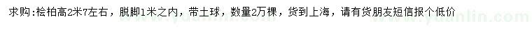 求購高2.7米檜柏