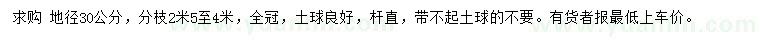 求購地徑30公分樸樹