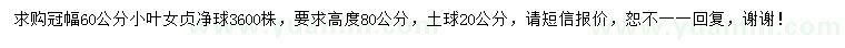 求購(gòu)冠幅60公分小葉女貞凈球