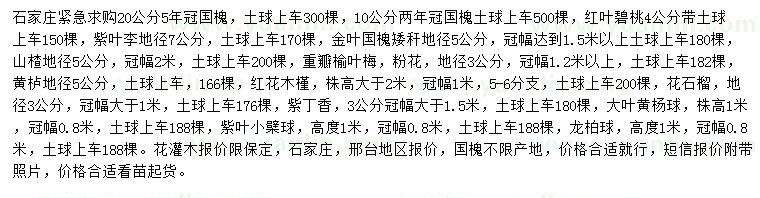 求購(gòu)國(guó)槐、紅葉碧桃、紫葉李等